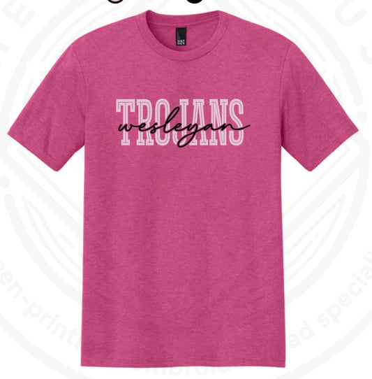 Pink Wesleyan Script